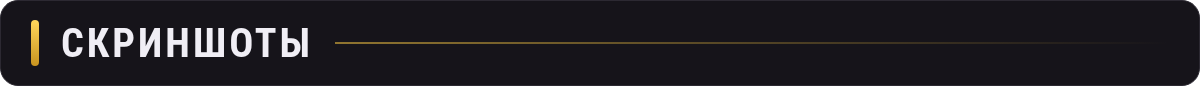 07_razdel_skrinshoty.png