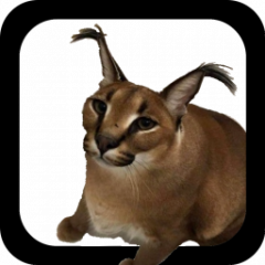 floppafist.png
