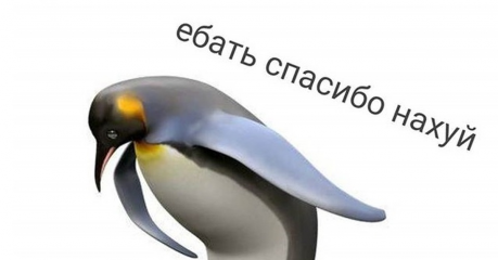 1641097516image0.png