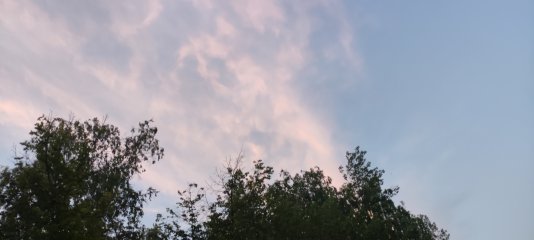 17199412909108062660102742173312.jpg