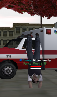 sa-mp-041.png