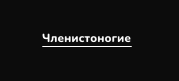 1740926519260.png