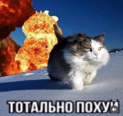 1746527673571.jpeg