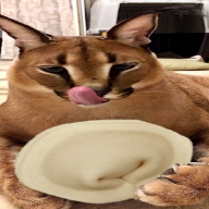 NIGGA13377