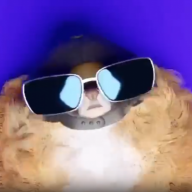 Whiskas222