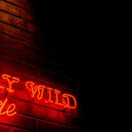 Orxan_WILD