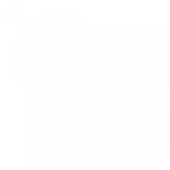 FBI13