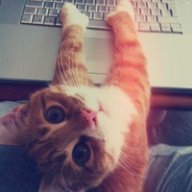 Leonard.Ve