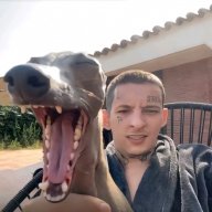 zerka_