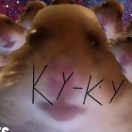 Хомяк кукуку