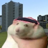 Arabian_Mouse