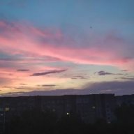 Баклан