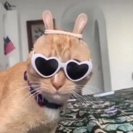 Мамин хацкер
