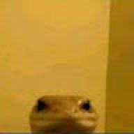 w0ah