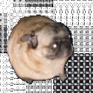 Squ1ck