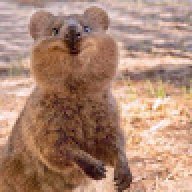 Porki