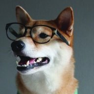 innocentiy
