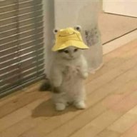 kevlarshirt