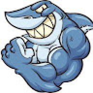 _n.v.kozar_