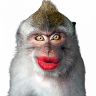monkey king