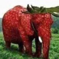 mfnstr