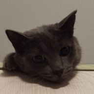 Kiki5655