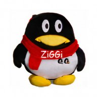 ziggi