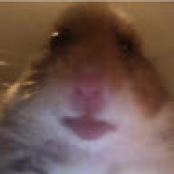 Ch1l1