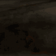 Fug