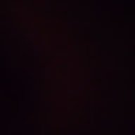 slavaohol1