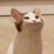cppdev