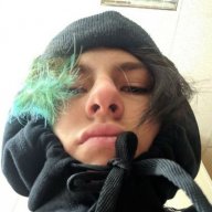 dmtflex