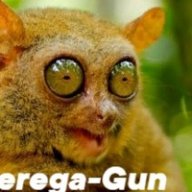Serega_Gun