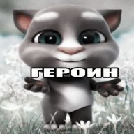 эндорфинов