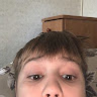 Bubik