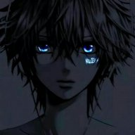 prowka xdxd
