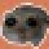DJopa777