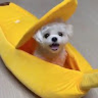 Айдар565674