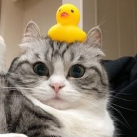 Sweetyy