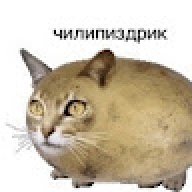 sdgh