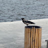 loonsige69