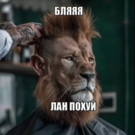 24FinnMcmissile005