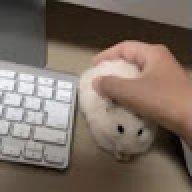 disilyx