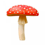 111brodik111