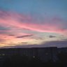 Баклан