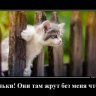 Возможно добрый