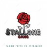 Stallone GANG