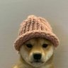 qwppppr