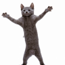 KatanaBloodline