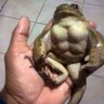 Вовасик Пивасик